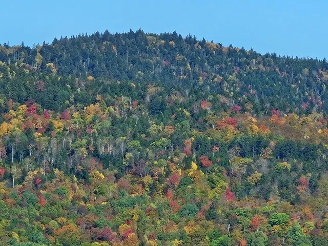 $124,999 | Lot#9-east Lot#9-east Moose Alley Road, Temple, ME 04984