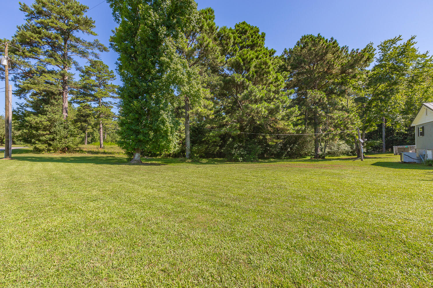 377 Greenbush Road LaFayette, GA 30728 - Photo 5 of 39 377 Greenbush Road HD-16