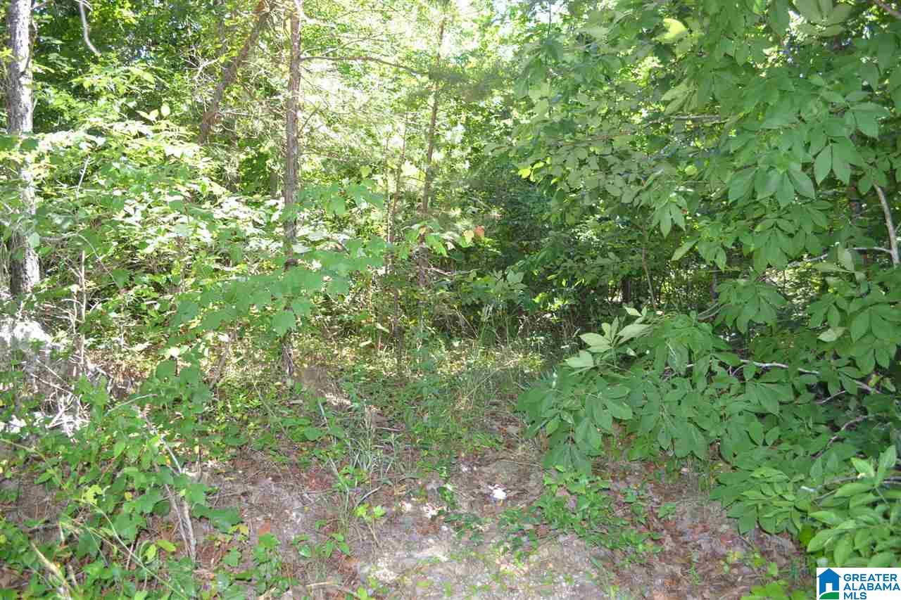 300 Williamsburg Road Altoona, AL 35952 - Photo 36 of 38