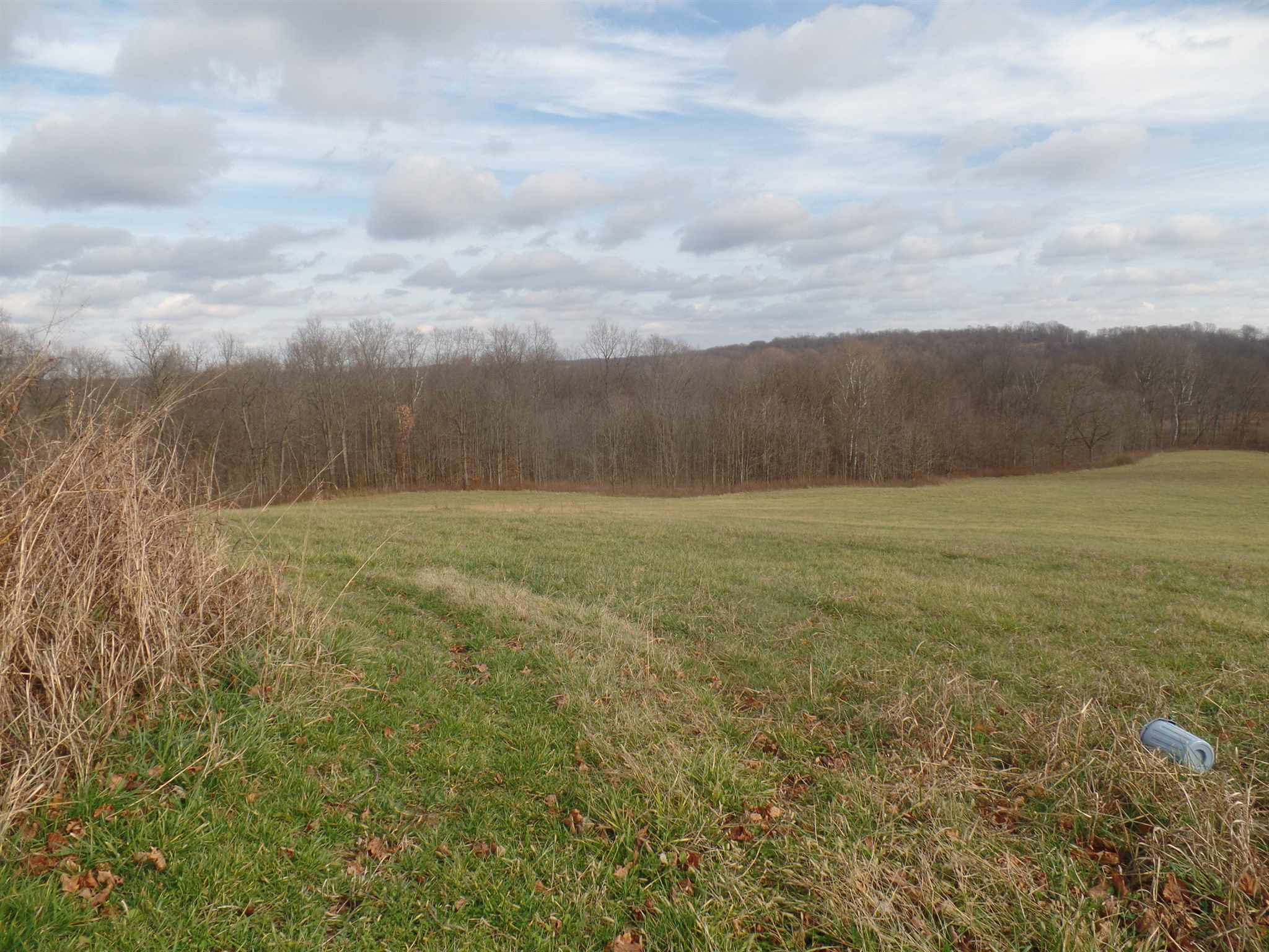 1097 South Walnut Grove Road Bloomfield, IN 47424 - Photo 13 of 18
