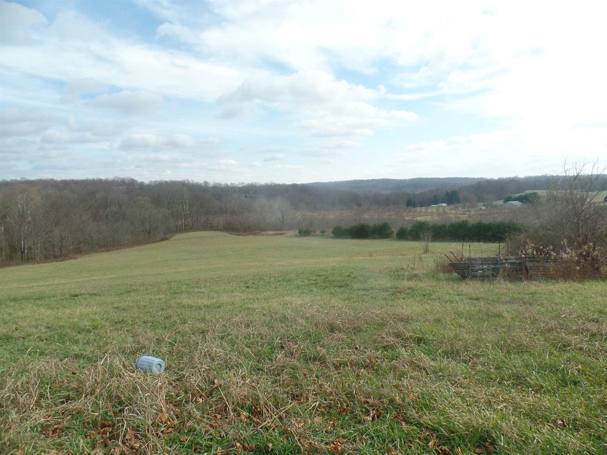 1097 South Walnut Grove Road Bloomfield, IN 47424 - Photo 17 of 18
