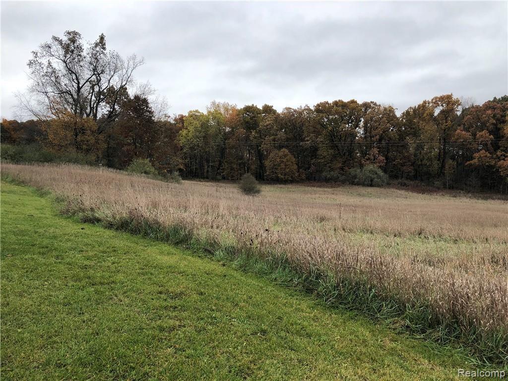 6347 Deacon Hill Road Howell, MI 48843 - Photo 20 of 24