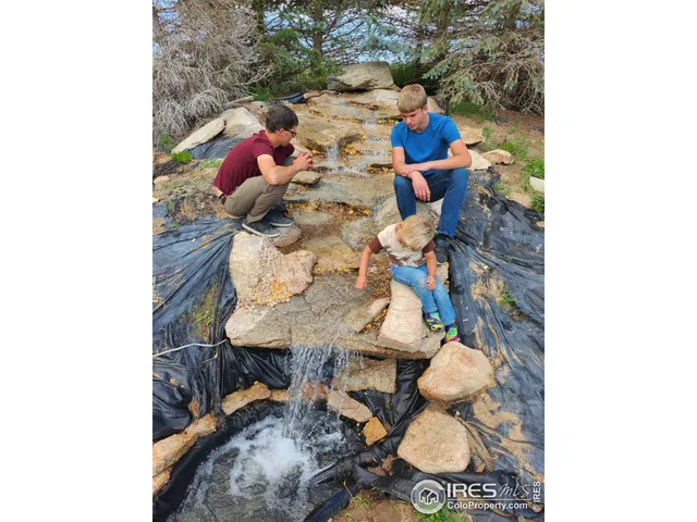 a view of a yard with an tree and plants