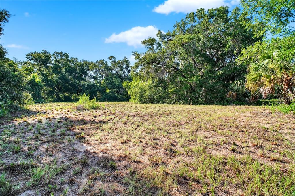 42012 Highway 19 Altoona, FL 32702 - Photo 12 of 16 a view of a yard with trees