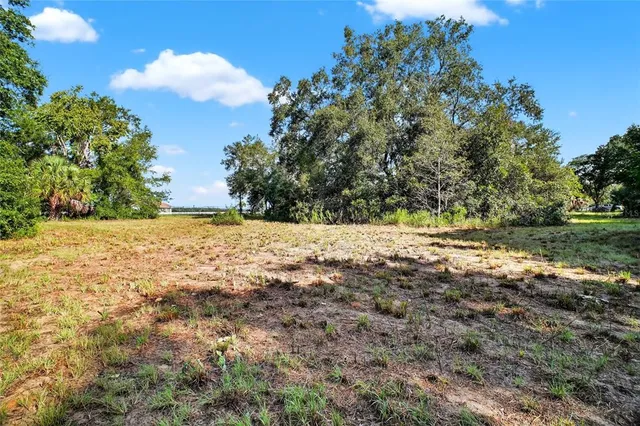 a view of large yard with green space