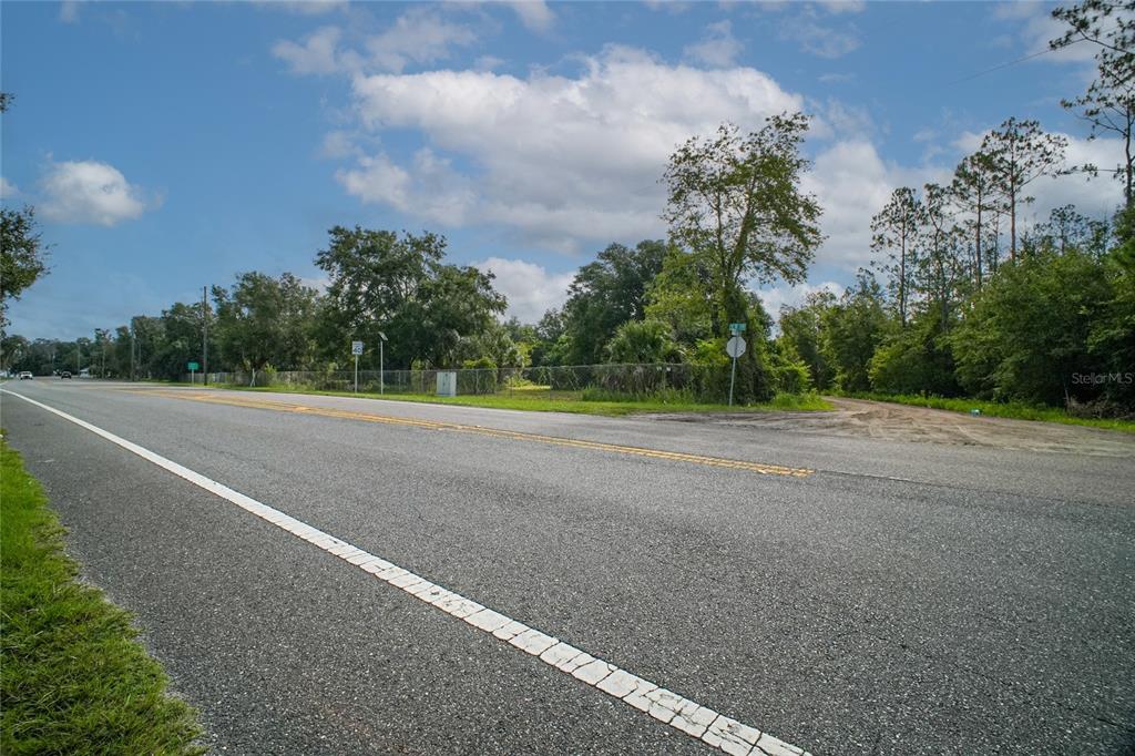 42012 Highway 19 Altoona, FL 32702 - Photo 4 of 16 a view of a field with trees