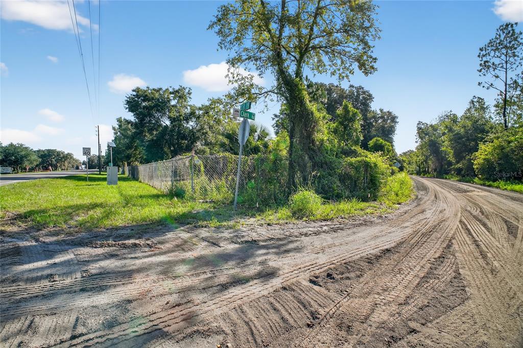 42012 Highway 19 Altoona, FL 32702 - Photo 6 of 16 a view of a yard with plants and large trees