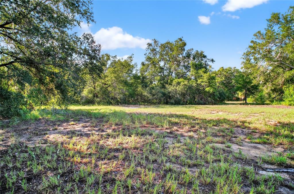 42012 Highway 19 Altoona, FL 32702 - Photo 8 of 16 a view of outdoor space with deck and yard