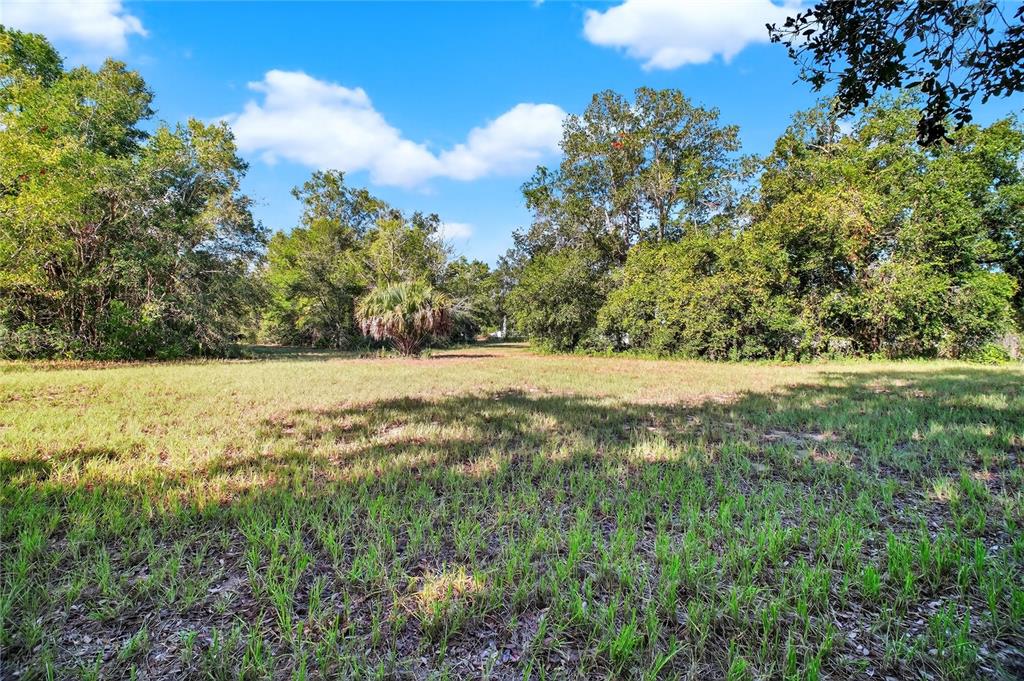 42012 Highway 19 Altoona, FL 32702 - Photo 9 of 16 a view of yard with green space