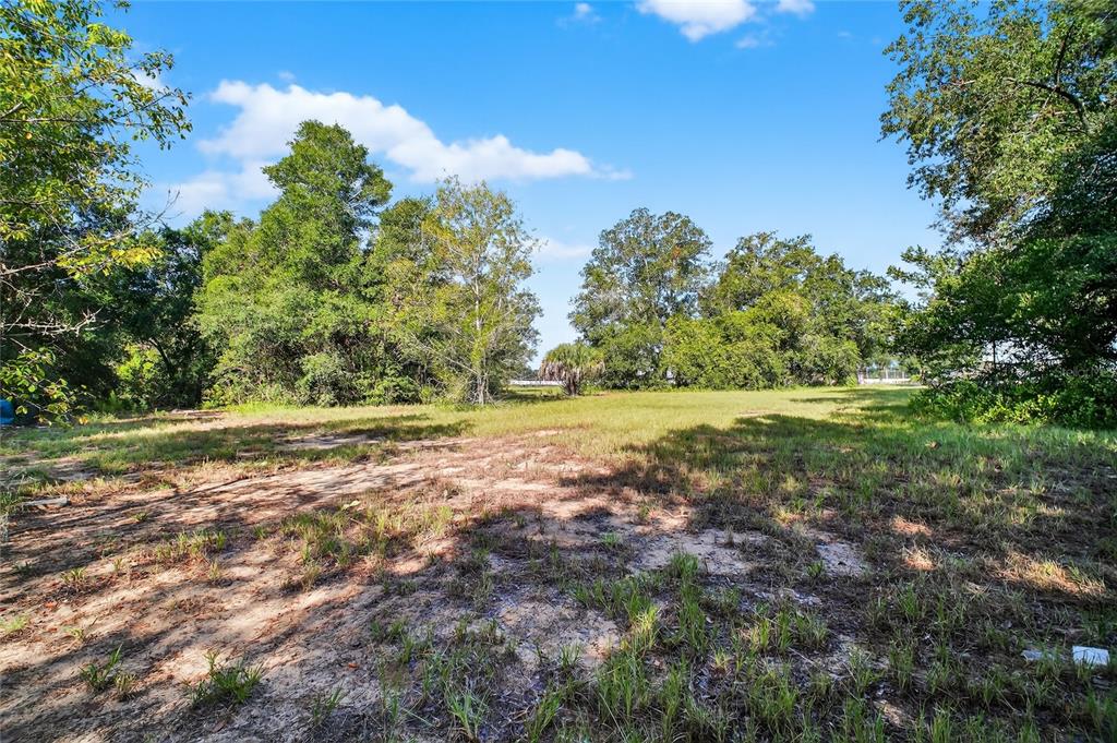 42012 Highway 19 Altoona, FL 32702 - Photo 10 of 16 a view of outdoor space with deck and yard