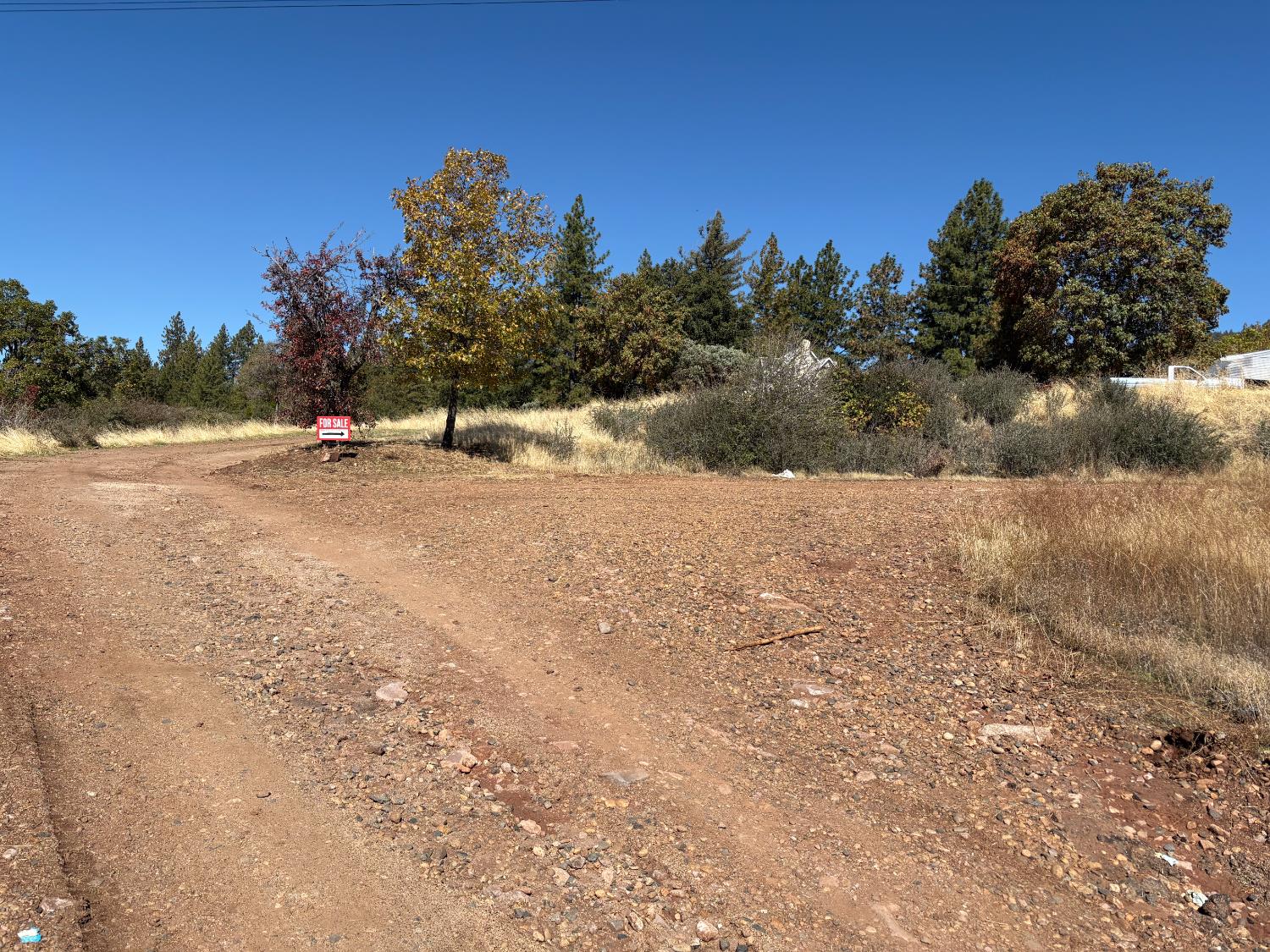 0 Todd Eymann Road Miramonte, CA 93641 - Photo 11 of 19 a view of a yard with a tree