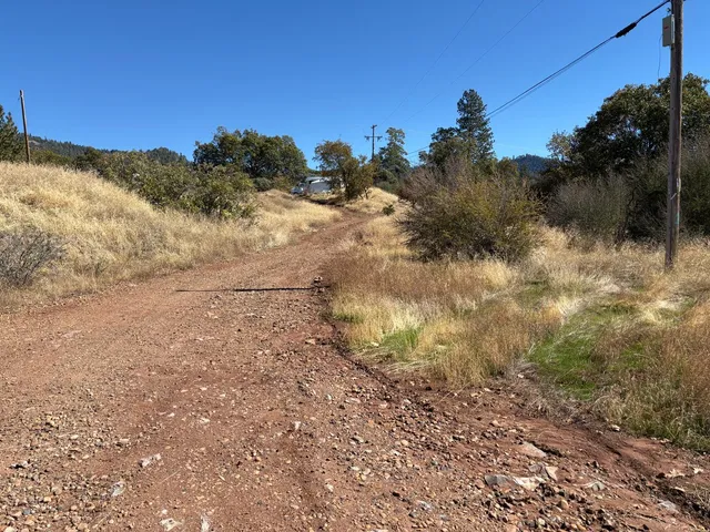 a view of a yard with a tree