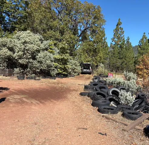 a view of a tree with a yard