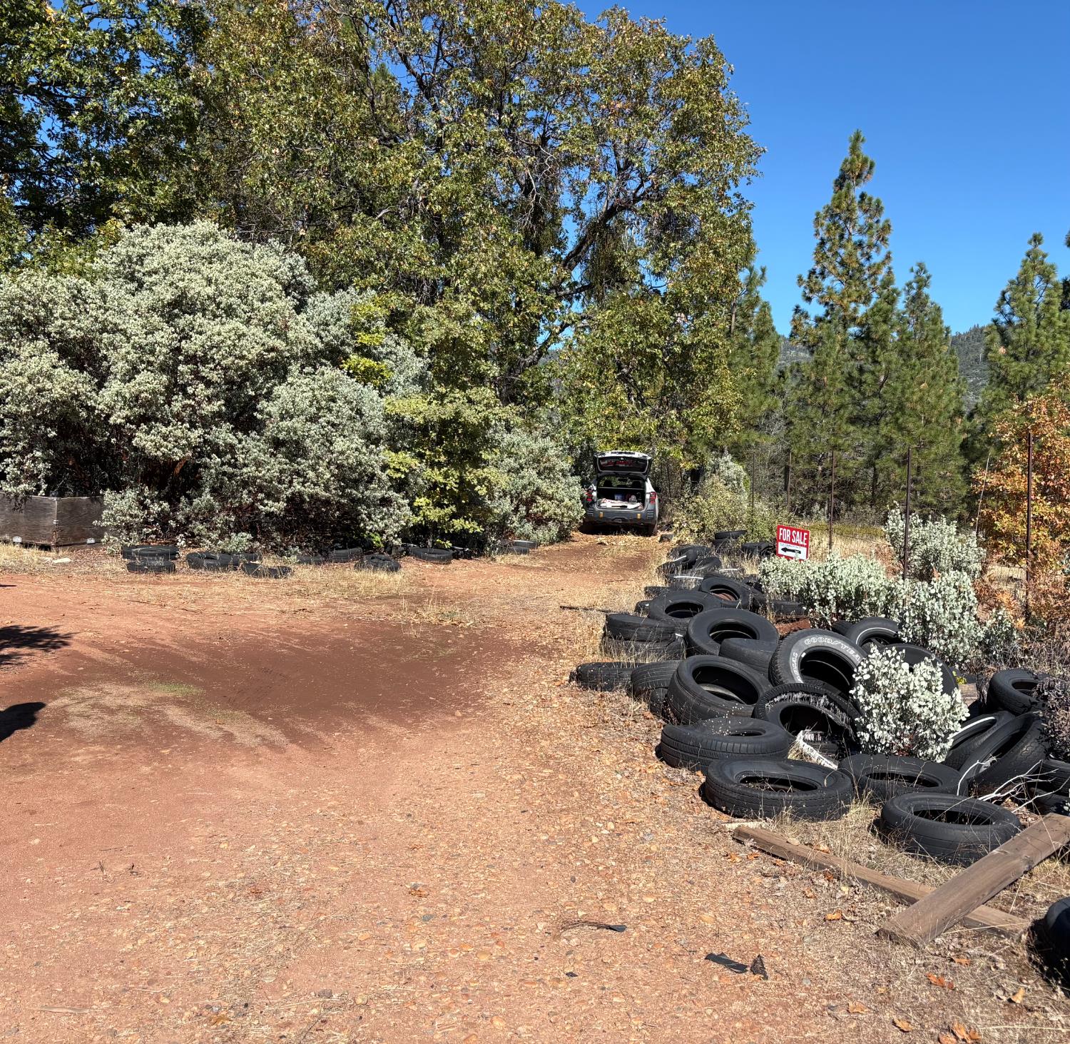 0 Todd Eymann Road Miramonte, CA 93641 - Photo 15 of 19