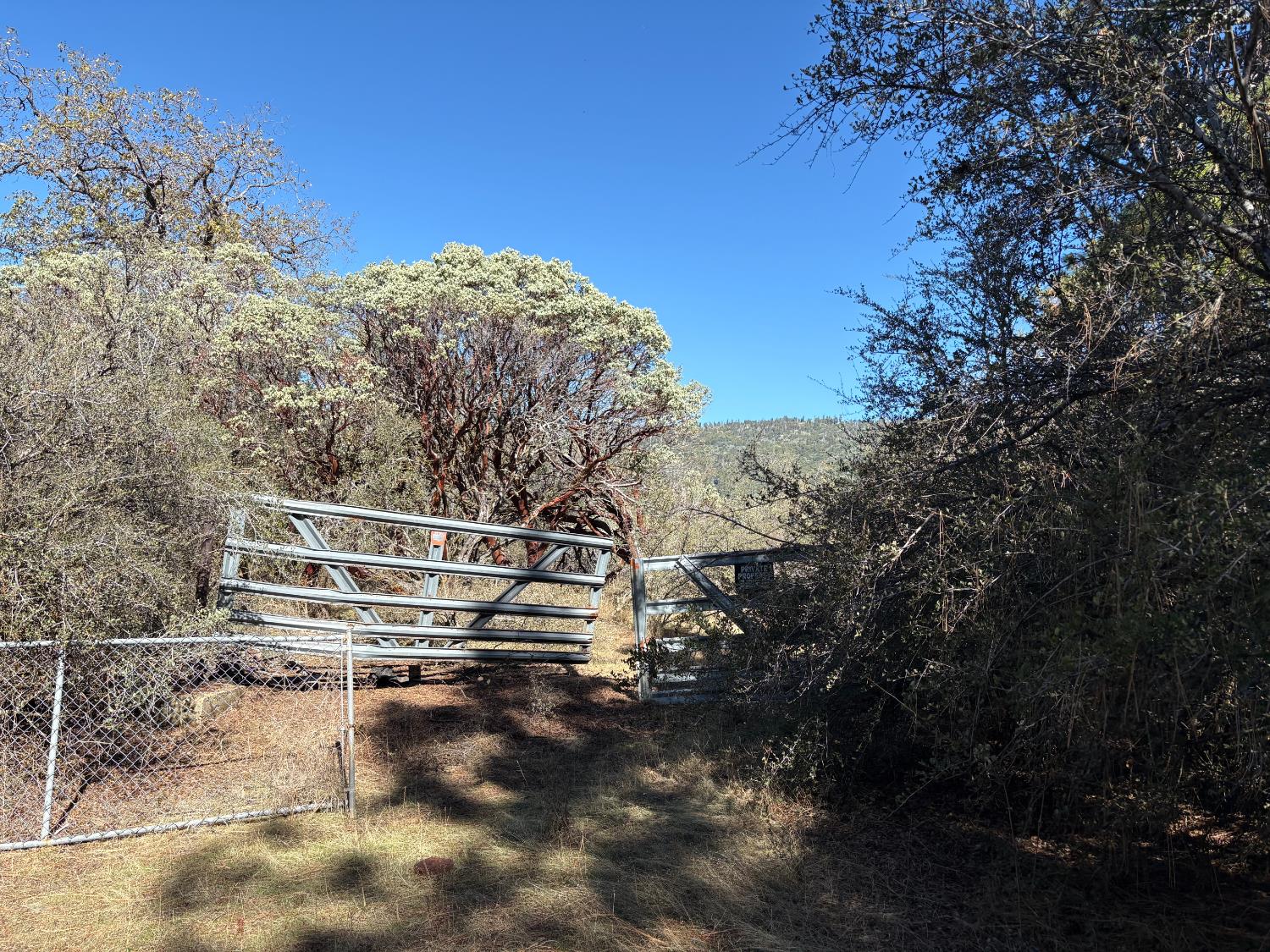 0 Todd Eymann Road Miramonte, CA 93641 - Photo 17 of 19 a view of a house with a yard