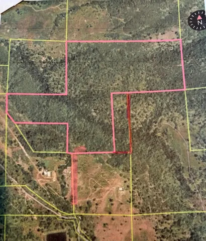 $195,000 | 0 Todd Eymann Road, Miramonte, CA 93641