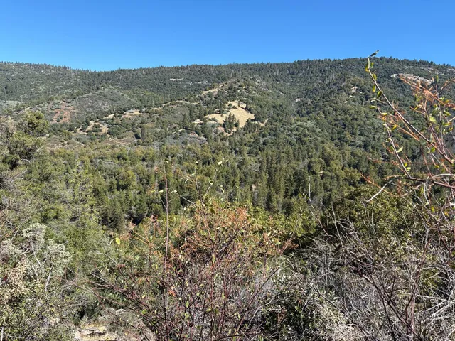 a view of city and mountain