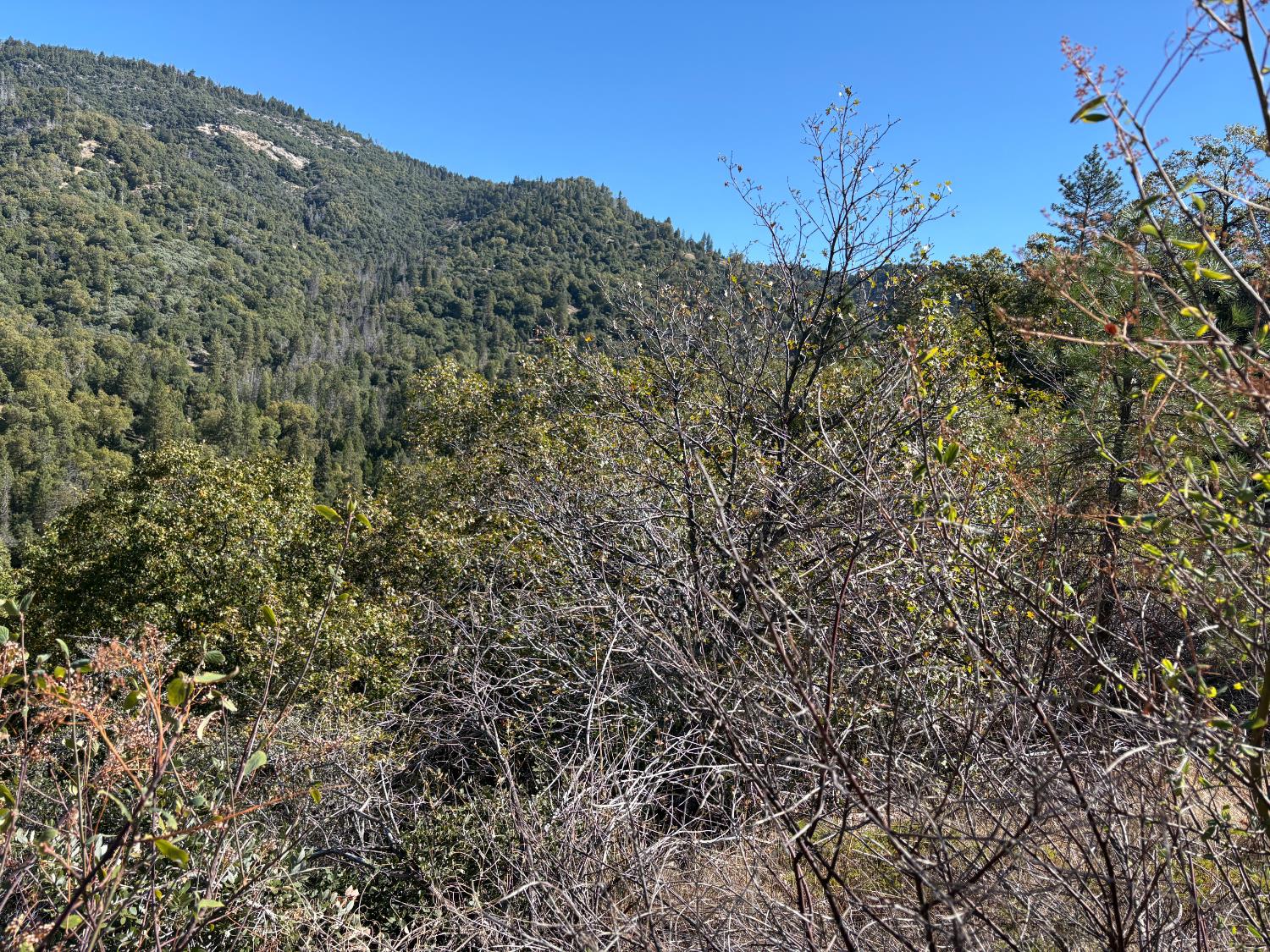 0 Todd Eymann Road Miramonte, CA 93641 - Photo 9 of 19 a view of a dry yard with mountains in the background