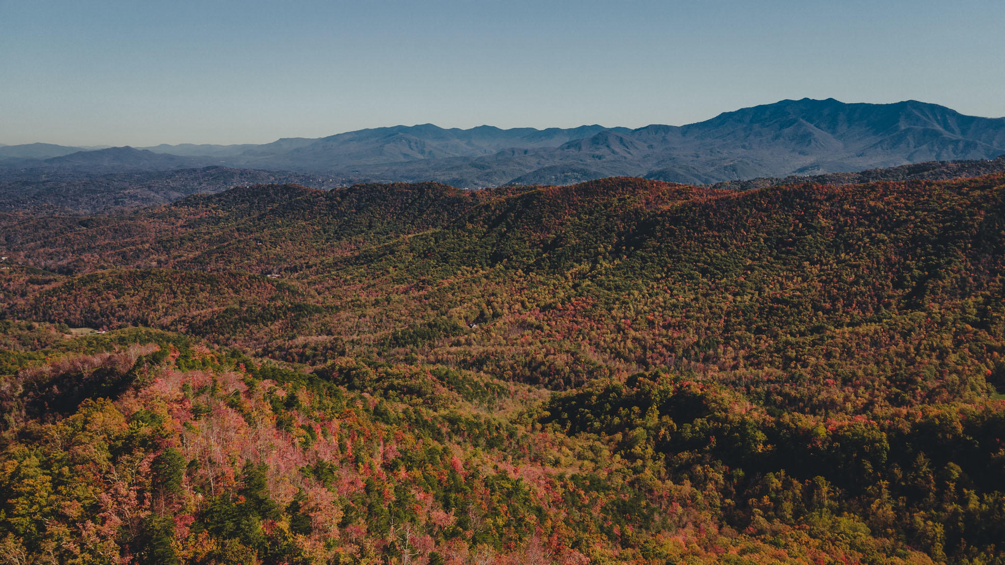 Views of Mount LeConte