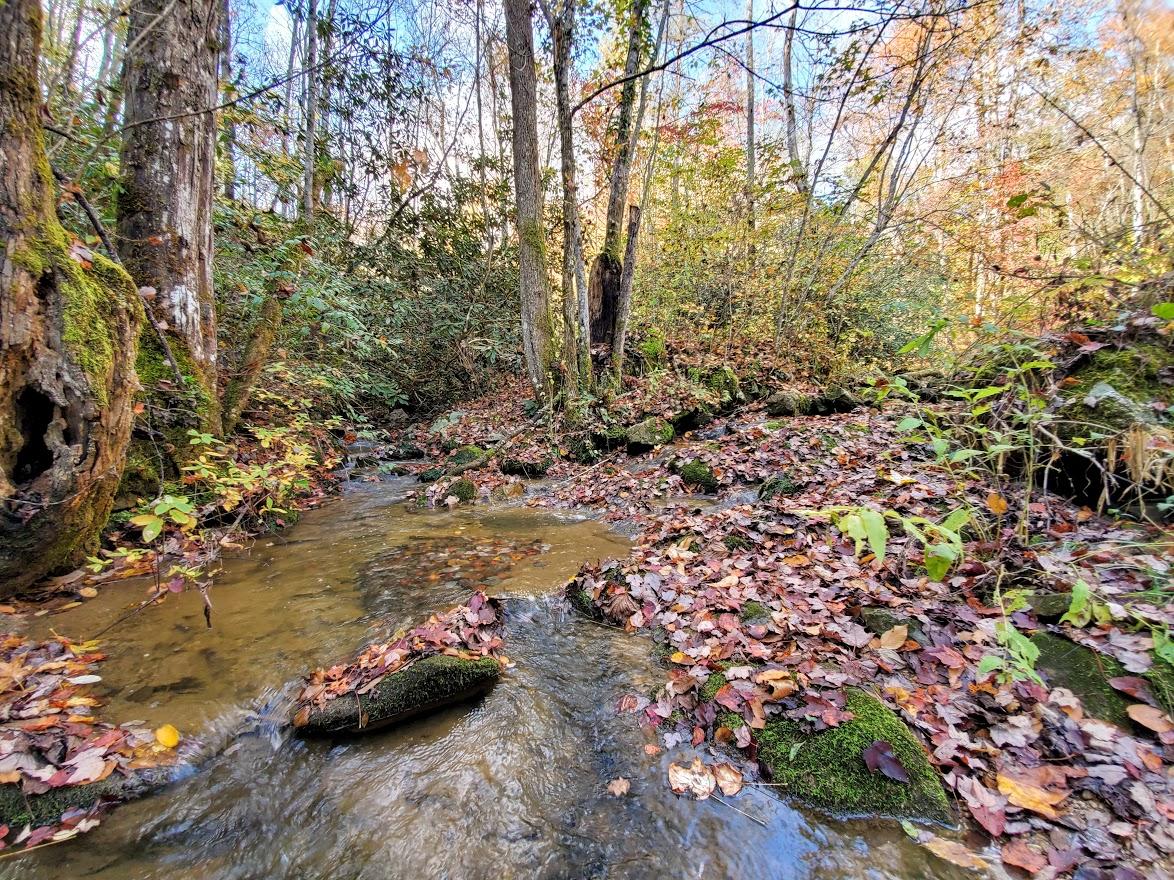 1 Mill Creek Road Pigeon Forge, TN 37862 - Photo 10 of 26 Devil's Branch