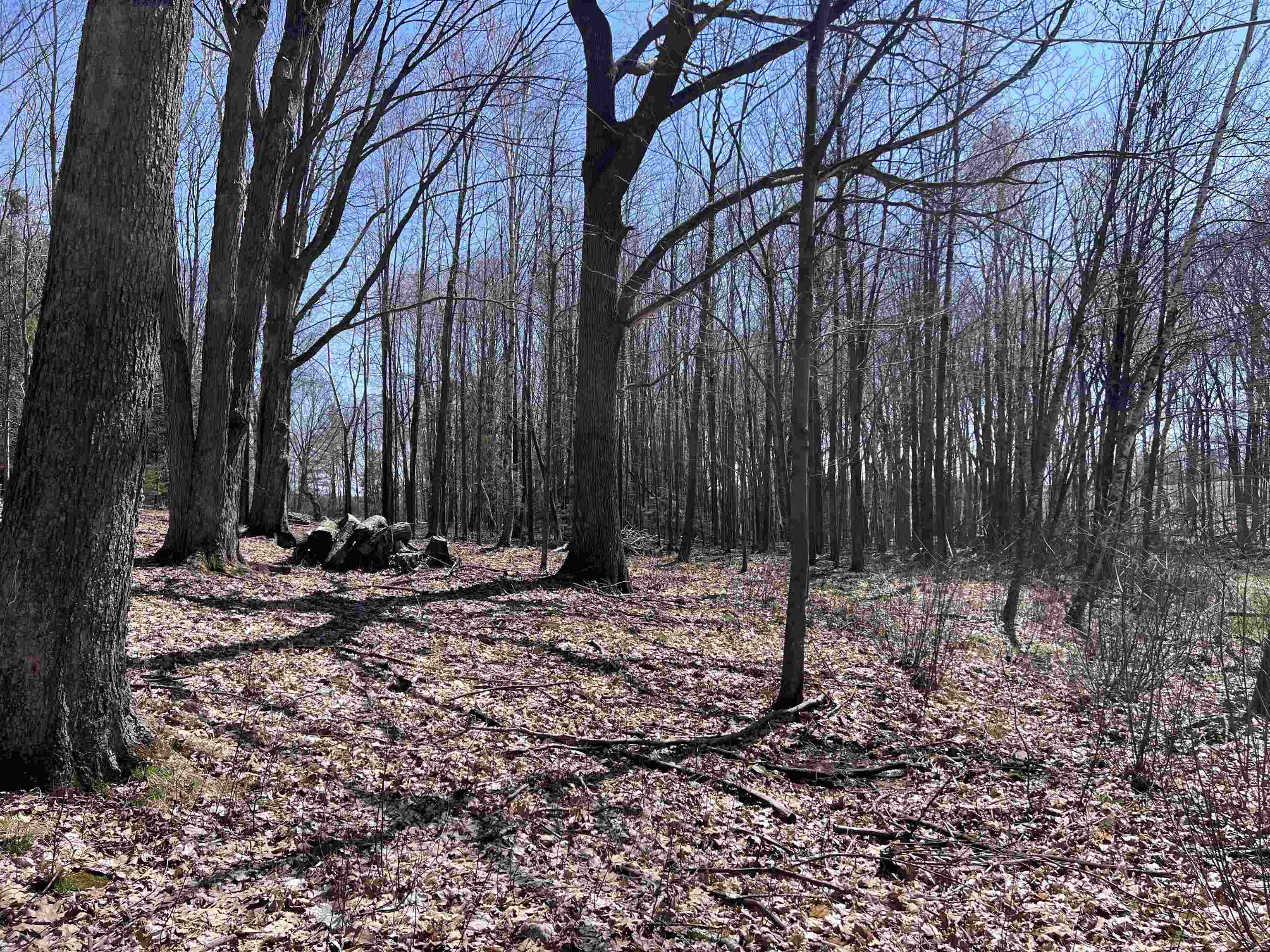 Canyon Road Wausau, WI 54403 - Photo 7 of 26