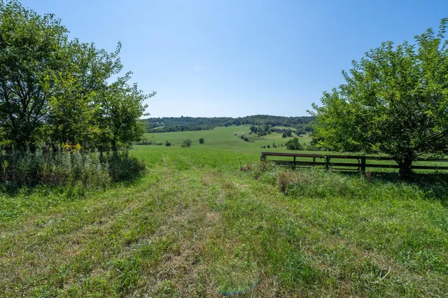 a view of green field with trees in the background