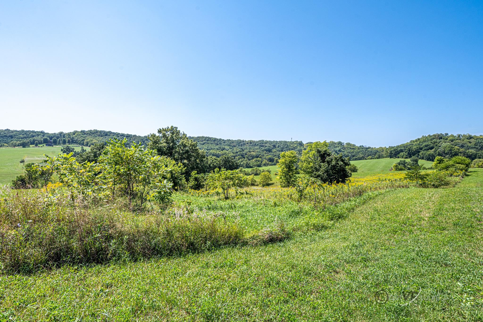 3175 West Mitchell Road Hanover, IL 61041 - Photo 7 of 14 a view of a green field