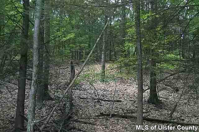 0 Gallis Hill Road Kingston, NY 12401 - Photo 4 of 6 Photo 4