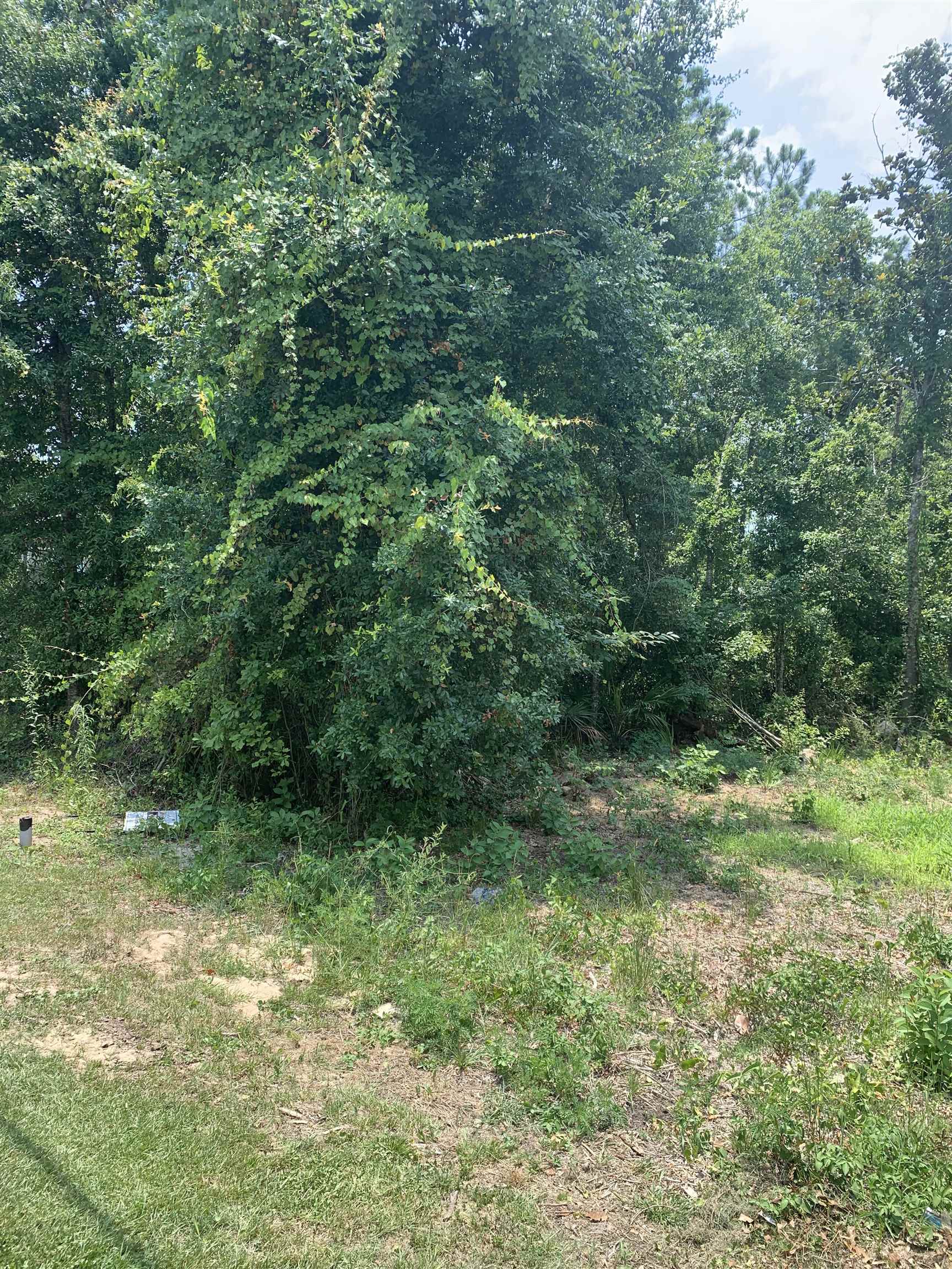 0 Pine Road Orange Beach, AL 36561 - Photo 3 of 3