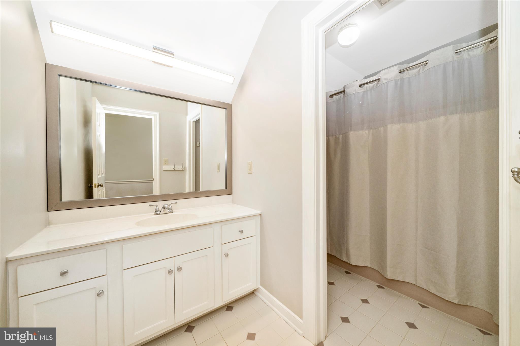 6742 Deer Spring Lane Middletown, MD 21769 - Photo 36 of 54 Bathroom