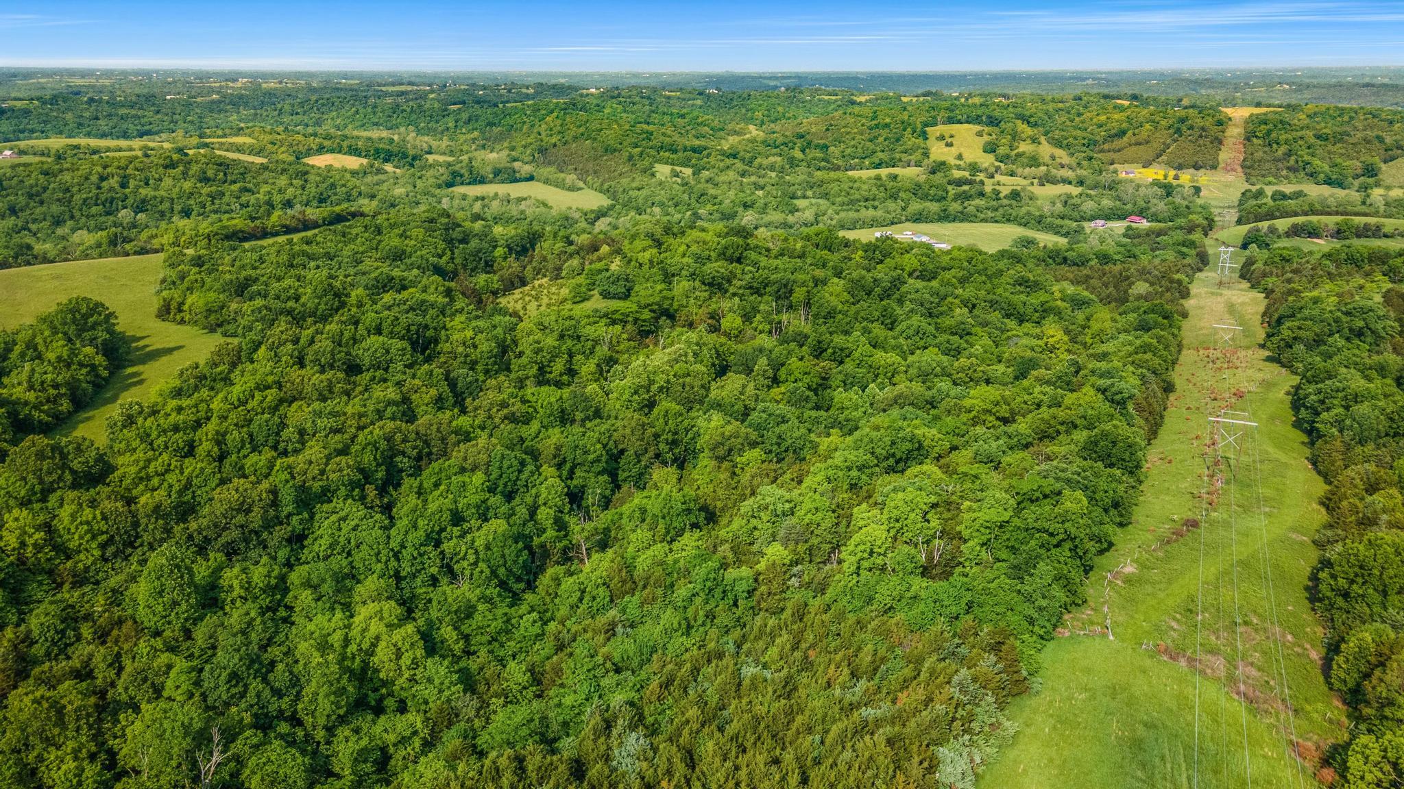 120.61-ac Falvey Road Butler, KY 41006 - Photo 4 of 11 Gallery Image 4