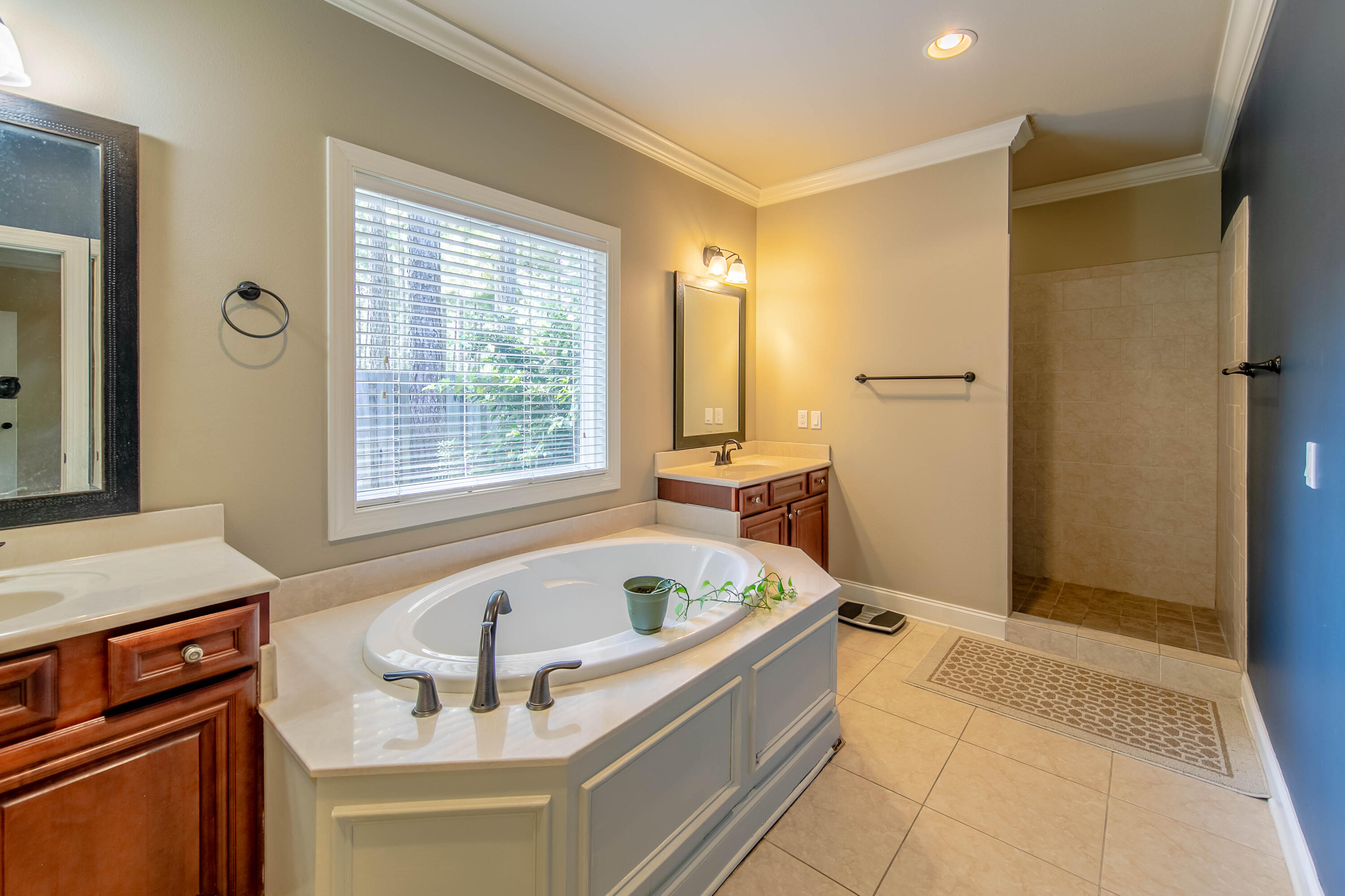 456 Windchime Way Freeport, FL 32439 - Photo 21 of 34 a bathroom with a tub sink and mirror