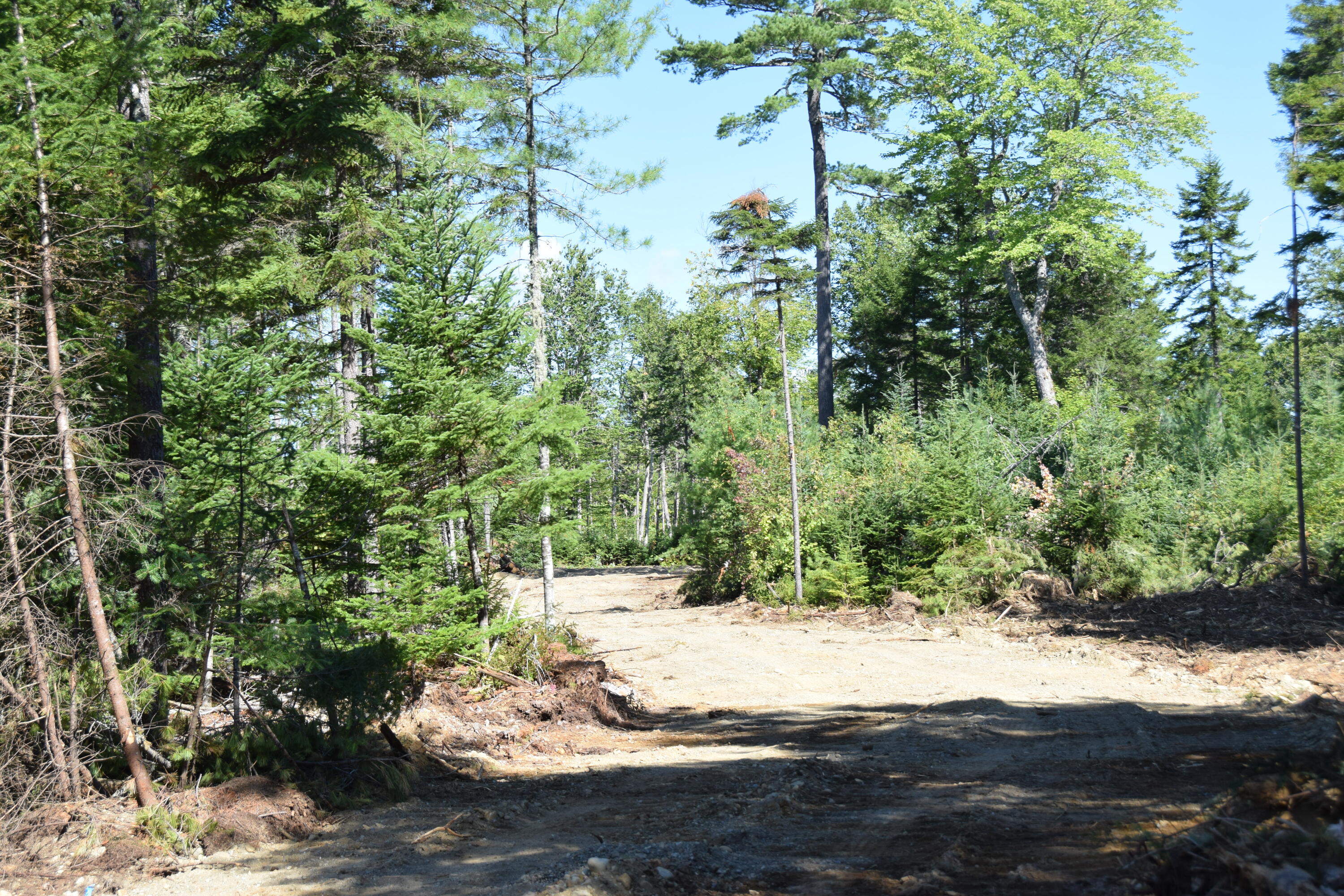 Ms03-l17.3 Middle Carry Pond Road New Portland, ME 04961 - Photo 3 of 25 DSC_0009