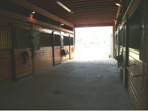1365 Cooks Valley Road Kingsport, TN 37664 - Photo 24 of 24 Barn Interior