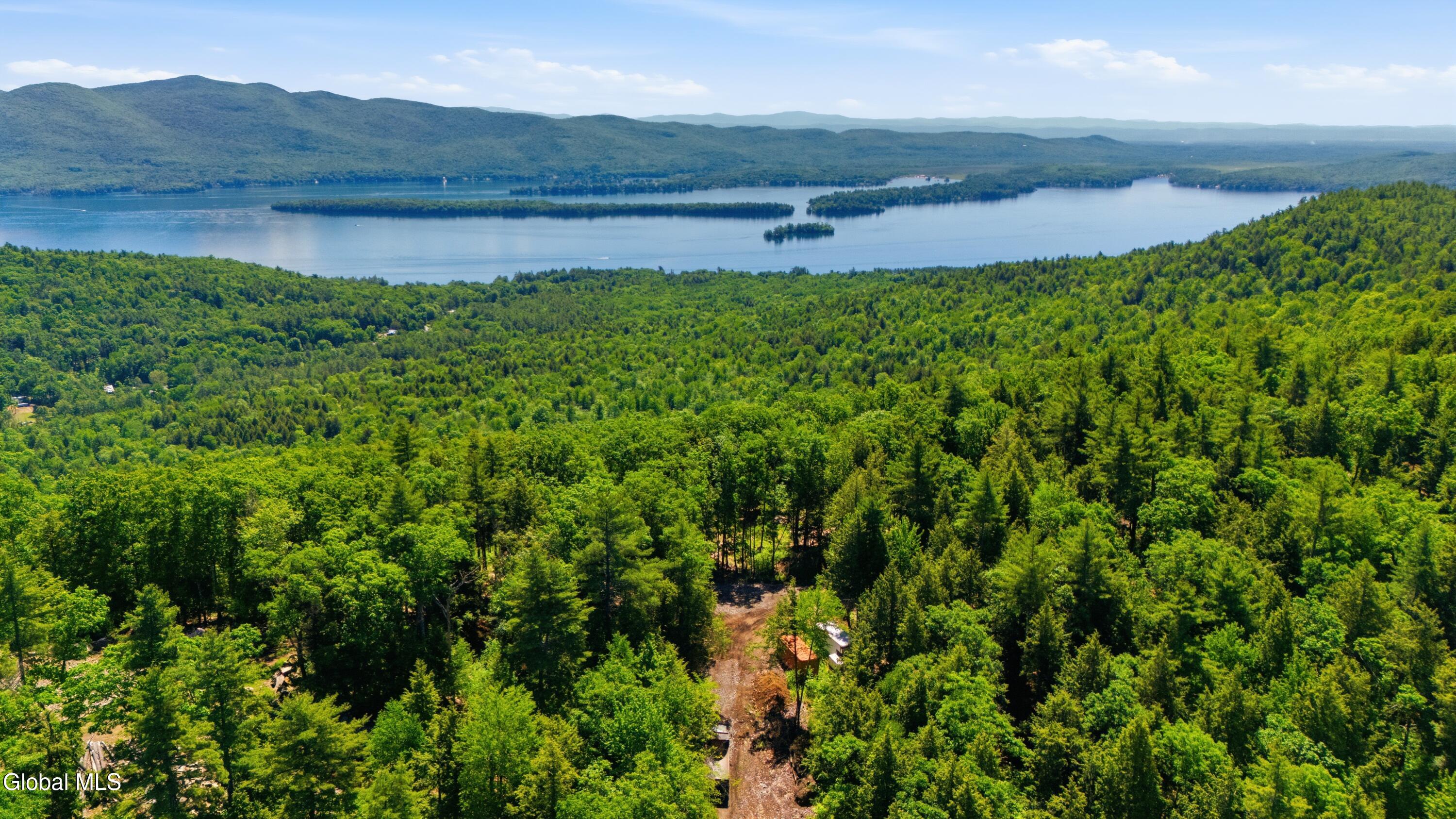 370 Dickinson Hill Road Diamond Point, NY 12824 - Photo 8 of 14 Homesite