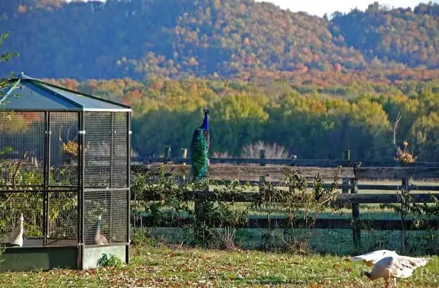 $1,099,900 | 2416 Lowesville Road, Amherst, VA 24521