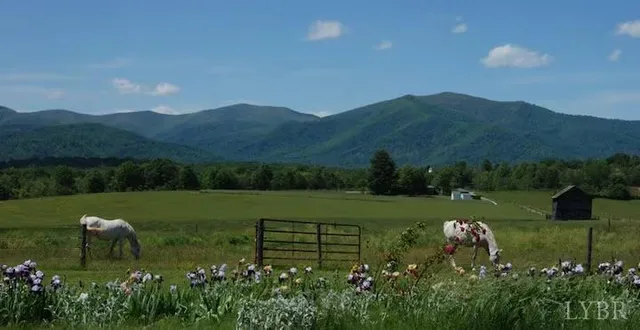 $1,099,900 | 2416 Lowesville Road, Amherst, VA 24521