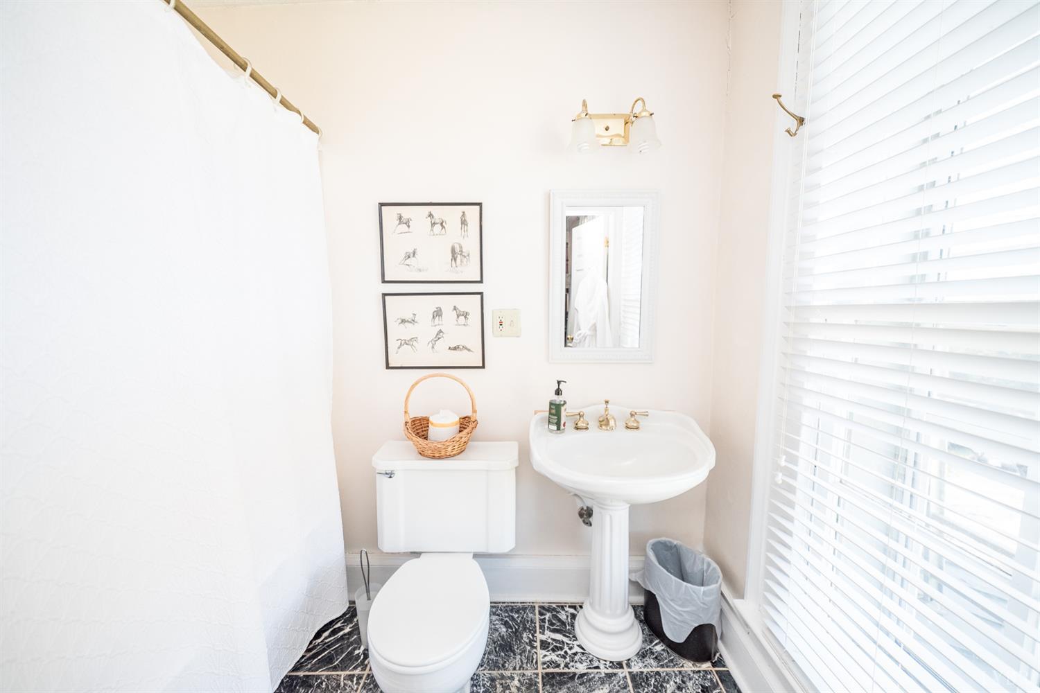 2416 Lowesville Road Amherst, VA 24521 - Photo 75 of 98 a bathroom with a sink toilet and a mirror