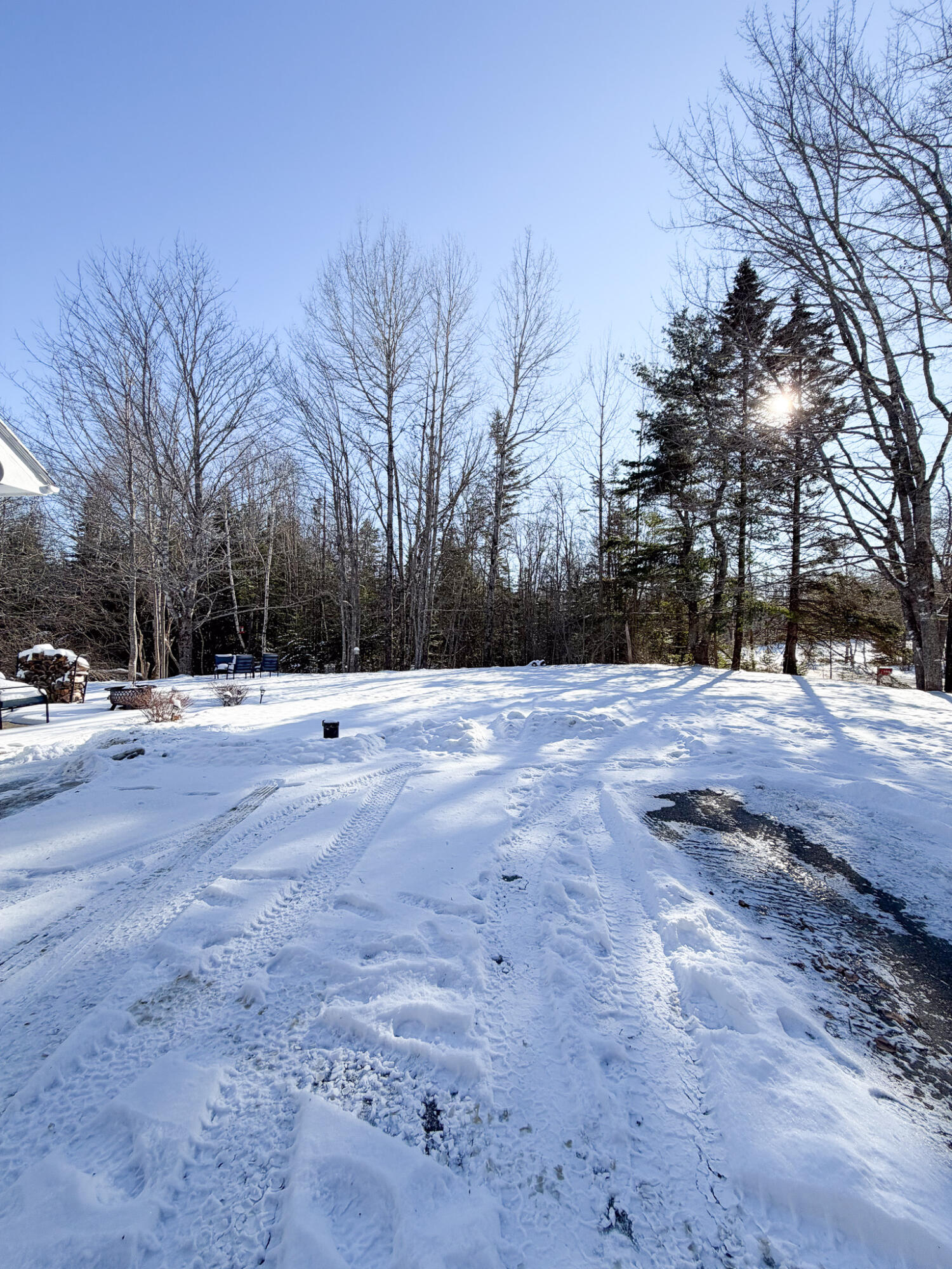 502 Newbury Neck Road Surry, ME 04684 - Photo 34 of 38 Side lawn