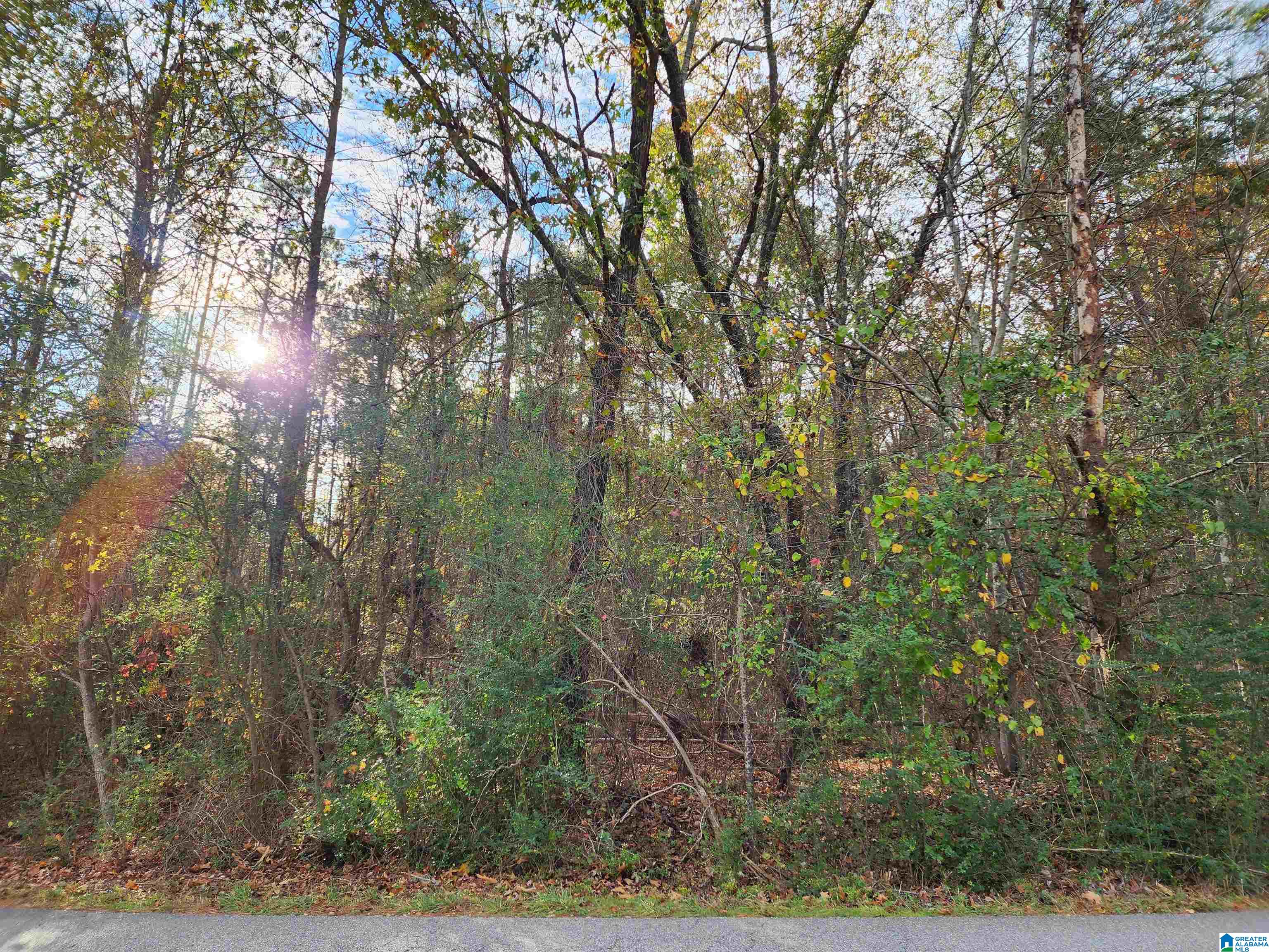 1849 Cedar Creek Road, Unit 8 Odenville, AL 35120 - Photo 11 of 11
