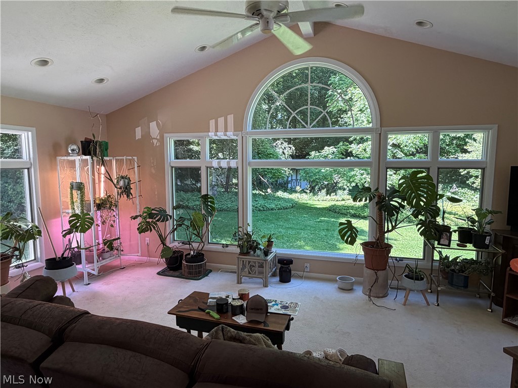 8094 Rolling Brook Road Northfield, OH 44067 - Photo 17 of 49