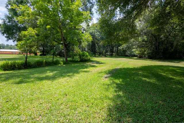 a view of a big yard with a large trees