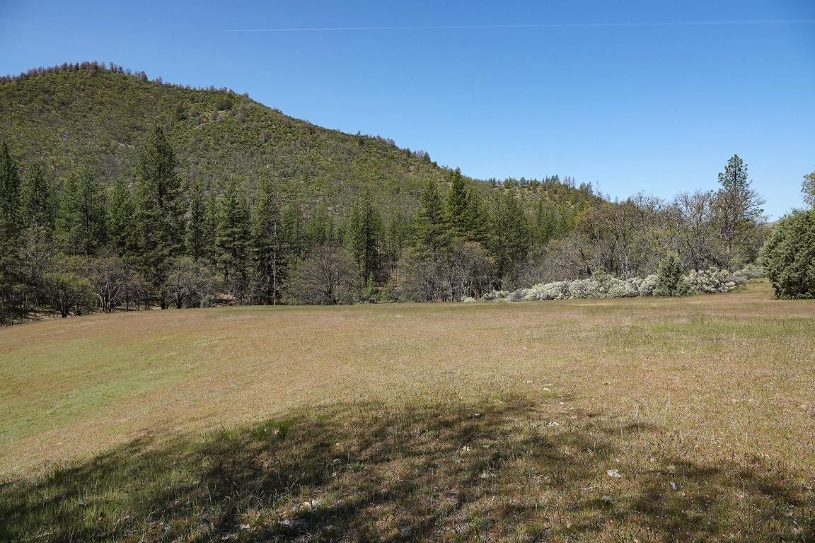 0 East Road Fort Jones, CA 96032 - Photo 25 of 35 Gallery Image 25