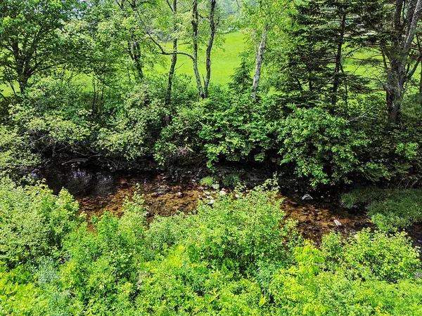 $585,000 | 43 Brookside Lane, Strong, ME 04983