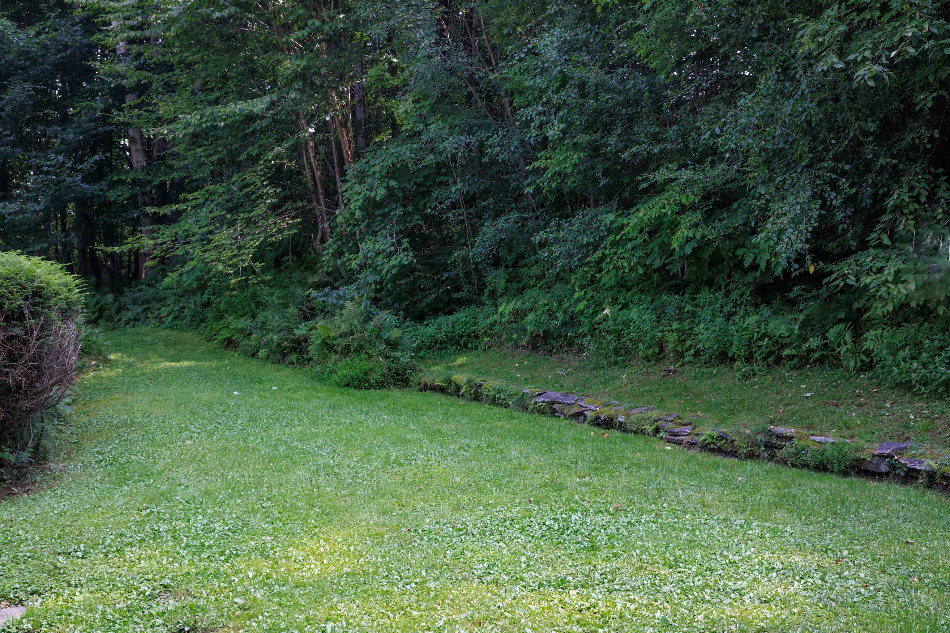 37 Thomas Street Barre, VT 05641 - Photo 10 of 20 Gallery Image 10