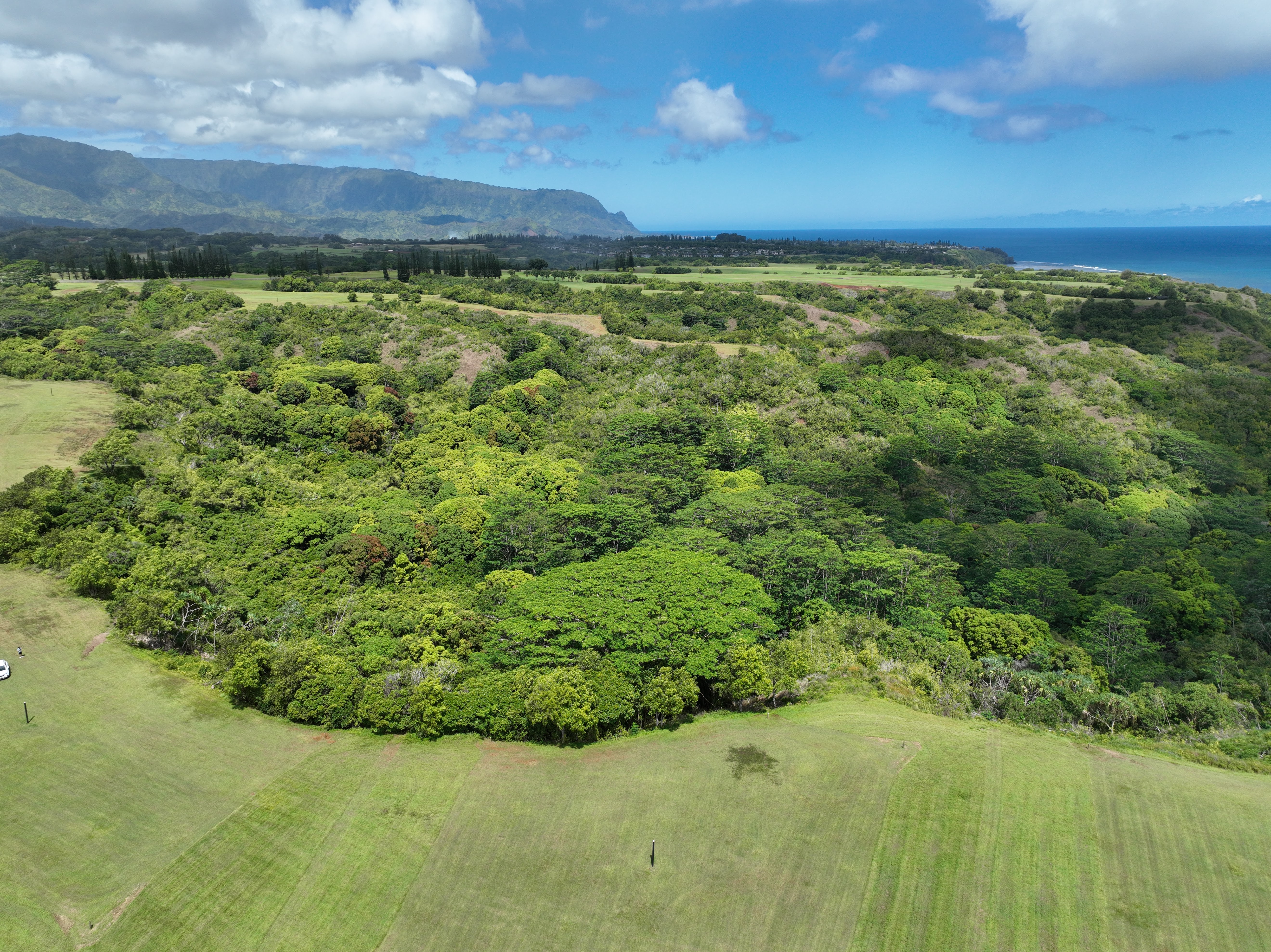 Anini Road, Unit 54 Princeville, HI 96722 - Photo 11 of 25