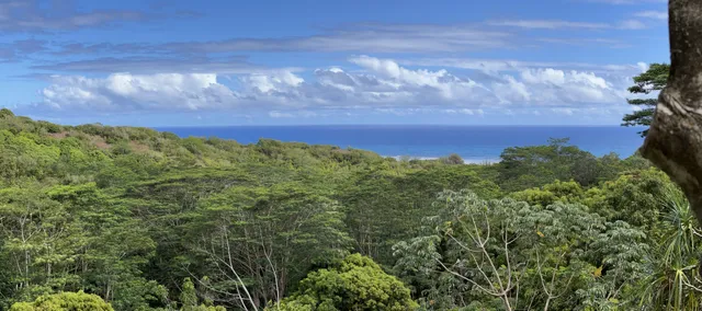 $9,600,000 | Anini Road, Unit 54, Princeville, HI 96722