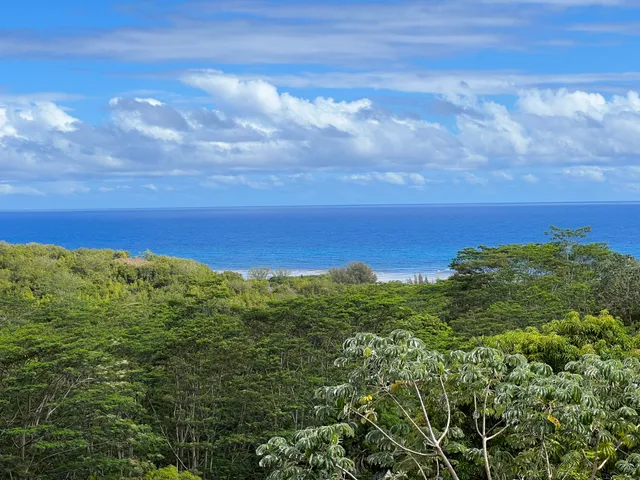 $9,600,000 | Anini Road, Unit 54, Princeville, HI 96722