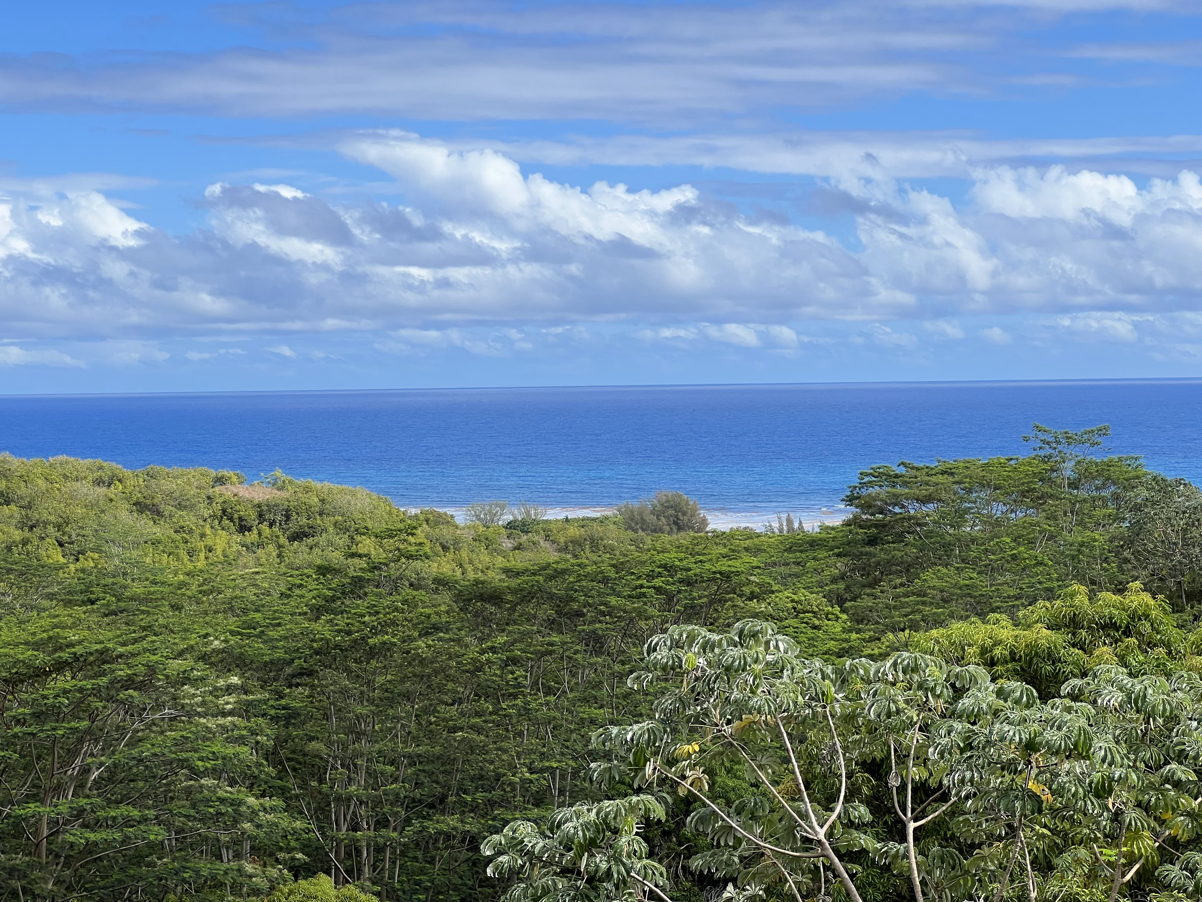 Anini Road, Unit 54 Princeville, HI 96722 - Photo 6 of 25