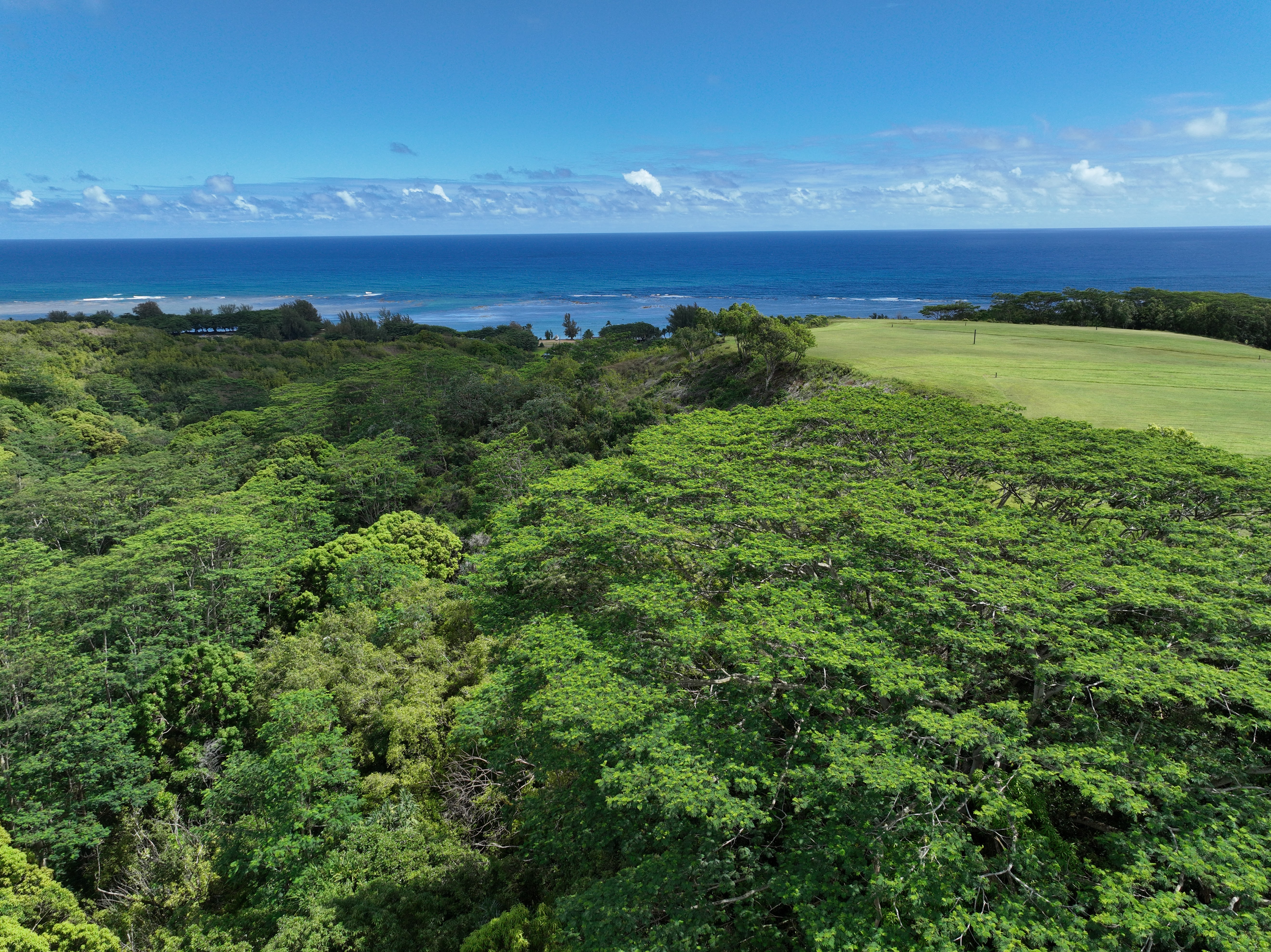 Anini Road, Unit 54 Princeville, HI 96722 - Photo 10 of 25